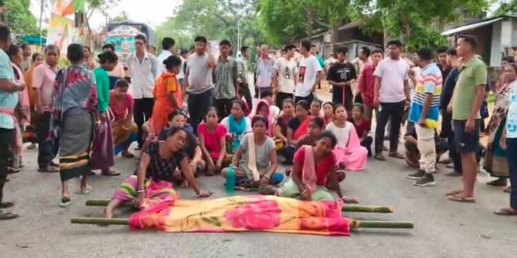 Elderly Woman Killed in Elephant Attack in Tripura, Tensions Flare in Khowai