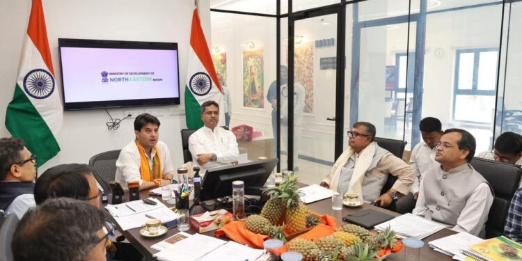 Rs 236 Cr Mission Queen Pineapple Launched in Tripura
