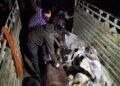 VHP, Bajrang Dal seek ban on cow slaughter