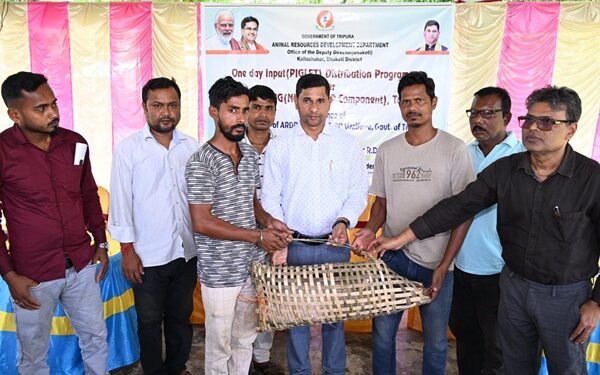 Tripura Govt Distributes Piglets to Rural Families
