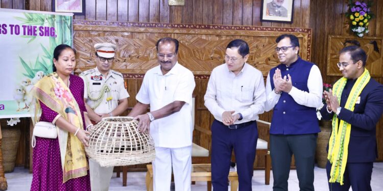 Governor Launches Duckling, Chick Distribution for SHGs