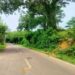 Vehicle attacks spark panic on Tripura-Assam highway
