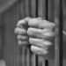 Khowai NDPS Court Jails Drug Offender for Five Years