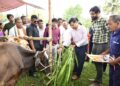 Tripura Launches FMD Vaccination Drive for Livestock