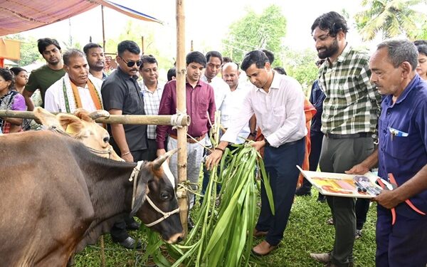 Tripura Launches FMD Vaccination Drive for Livestock