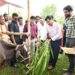 Tripura Launches FMD Vaccination Drive for Livestock