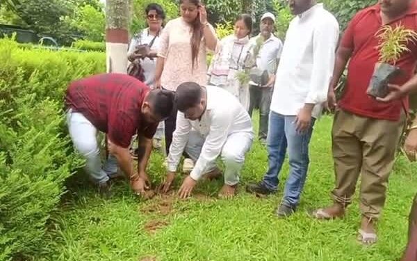 Youth Congress Targets 900 Trees Across Tripura on Rahul Gandhi’s Birthday