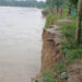 Gomati erosion threatens homes in Melaghar