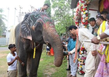 Biplab Deb Joins Jagannath Rath Yatra in Agartala