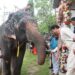 Biplab Deb Joins Jagannath Rath Yatra in Agartala