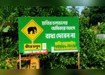 Wild elephant raids terrorise Tripura villages