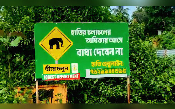 Wild elephant raids terrorise Tripura villages