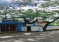 Upside-down Tricolour sparks row in North Tripura