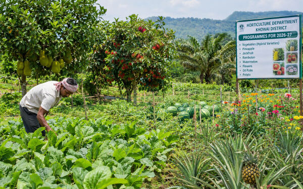 Horticulture Department Expands Crop Cultivation in Khowai